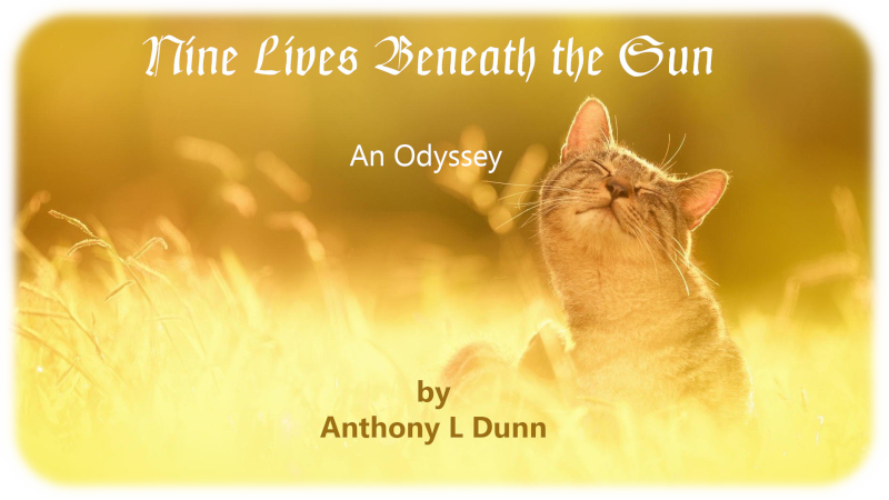 Nine Lives Beneath the Sun - An Odyssey - by Anthony L. Dunn